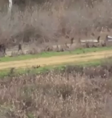 FETÖ bağlantılı şebekenin yeni görüntüleri ortaya çıktı!