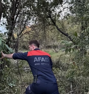 Sinop'ta mantar toplamak için ormana gitti, kayıplara karıştı