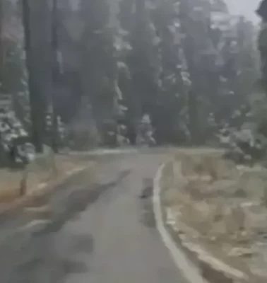Kastamonu'nun yüksek kesimlerine kar yağdı: Fındıklı Yaylası beyaza büründü!