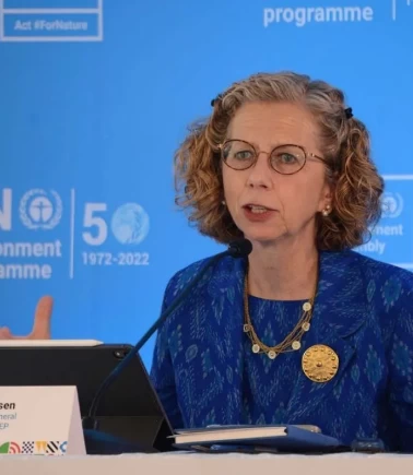 BM direktöründen iş birliği mesajı