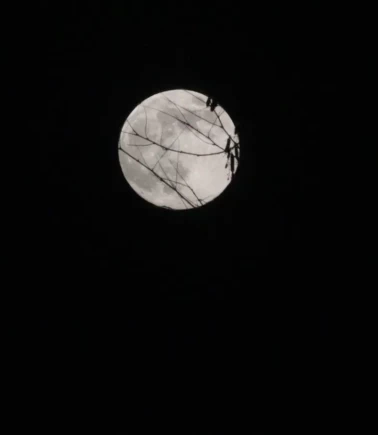 Kars semalarında muhteşem süper ay gösterisi