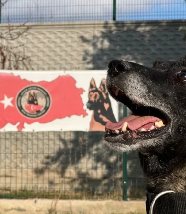 Zulalar onlardan kaçamıyor: Konya’da hassas burunlar görevde