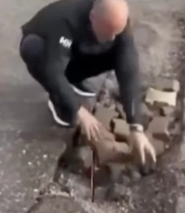 İzmir’de belediyecilik çöktü: Çukuru vatandaş kapattı