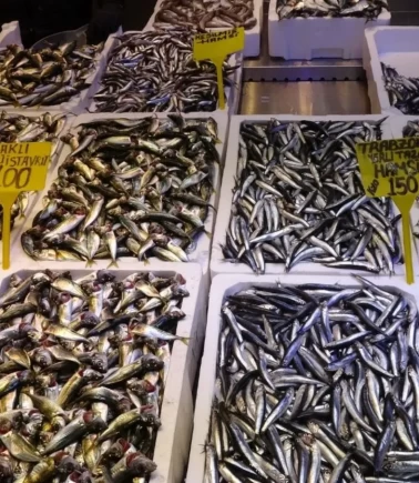 Hamsi 150 TL'den tezgahlarda: Vatandaş akın ediyor