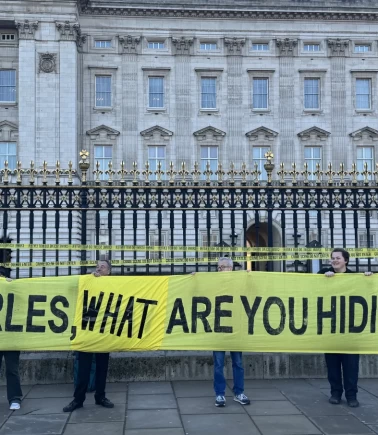 Kraliyetin Epstein sessizliğine "Suç mahallidir girilmez" tepkisi