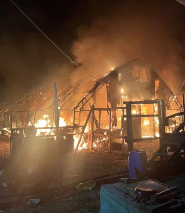 Bursa'daki yangında 250 tavuk, 150 civciv ve 180 kaz telef oldu!