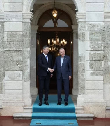 Cumhurbaşkanı Erdoğan, Denis Beçiroviç ile İstanbul’da bir araya geldi