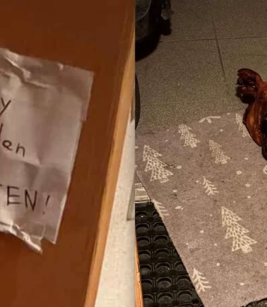 Türk ailesinin kapısında domuz kafası bıraktılar!