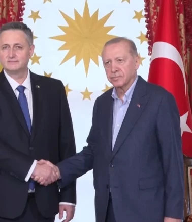 Cumhurbaşkanı Erdoğan ve Beciroviç bir araya geldi