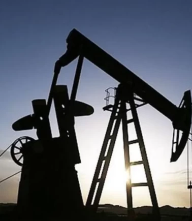 19 Mart’a kadar ihracat yasaklandı!