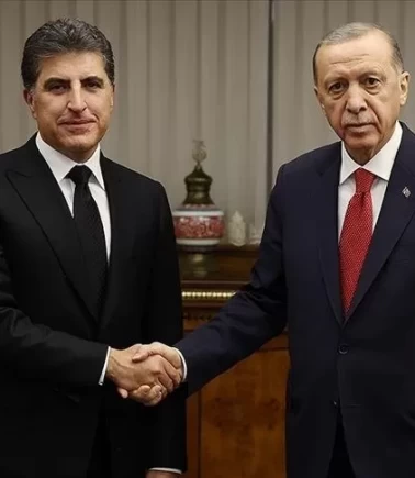 Cumhurbaşkanı Erdoğan, IKBY Başkanı Barzani ile görüştü