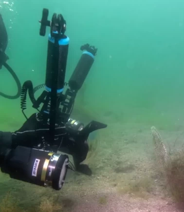 Tuzla sahilinde bilim dünyasını heyecanlandıran keşif! Sanayinin gölgesinde 'mucize' ekosistem