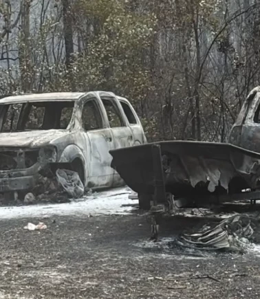 Alevler şehirlere indi, gökyüzü siyaha büründü! 27 bin dönüm kül oldu