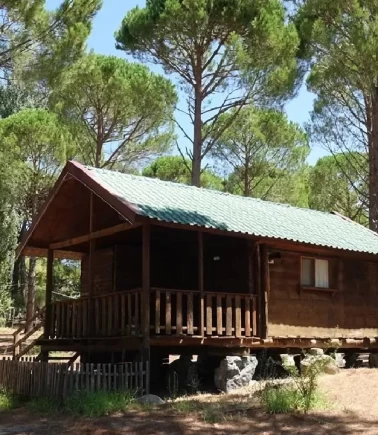 8 ilde “bungalov” dolandırıcılığı operasyonu