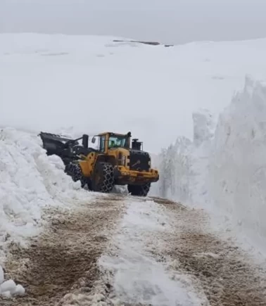 Hakkari'de yoğun kar yağışı!