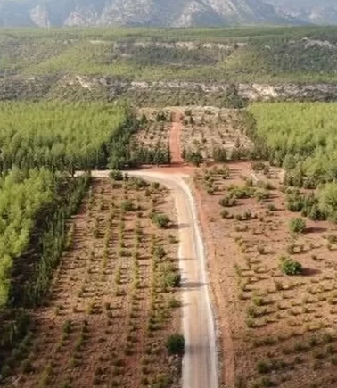 Ormanlarda yeni dönem!