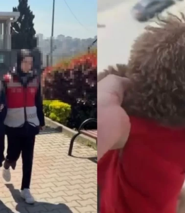 Başakşehir’de kan donduran görüntüler! Köpeği pencereden sarkıtıp cama vurdu