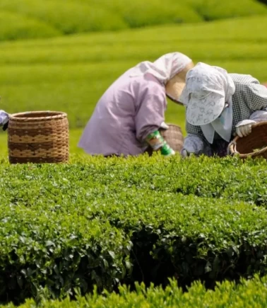 40 yaş sınırı resmen kaldırıldı: Sözleşmeli personel atamalarında yeni dönem
