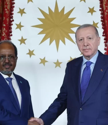 Cumhurbaşkanı Erdoğan, Somali Cumhurbaşkanı Mahmud ile görüştü
