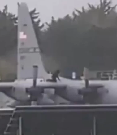 Baltayla gövde ve kanada zarar verdi