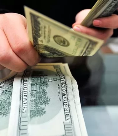 Dolar ve euro ne kadar oldu?