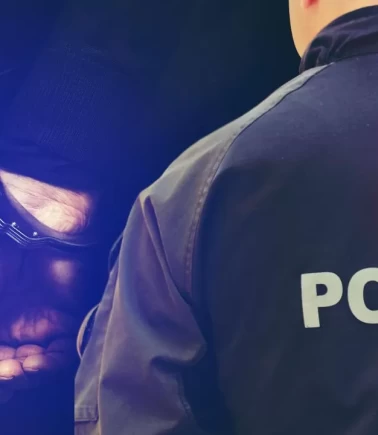 Adana merkezli suç örgütü operasyonu