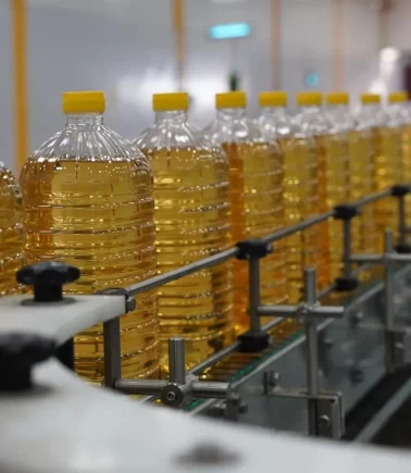 Ayçiçeği yağı ihracatı ilk çeyrekte yüzde 17,2 arttı!