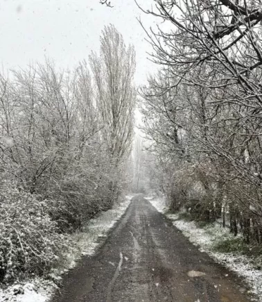 Lapa lapa kar yağdı!