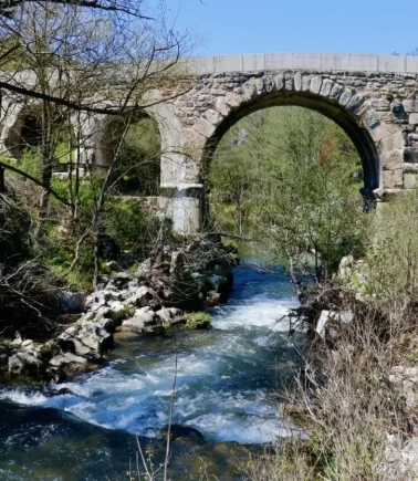 Kocaeli'de masalsı yolculuk! Eski İstanbul Yolu çiçek açtı: Şehrin gürültüsünden kaçmak isteyenlerin yeni gözdesi!