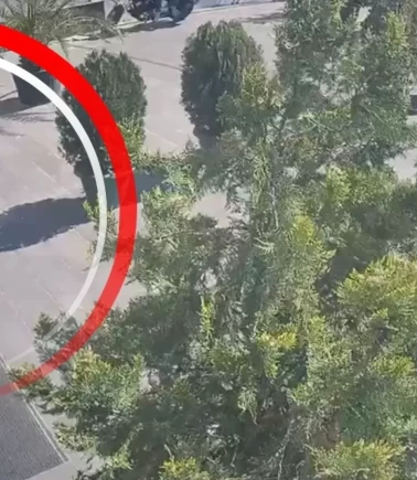 Maltepe’de 'elektronik cihaz' beklerken narkotik polisiyle karşılaştılar! Yurt dışından gelen koliyi açan ekipler şoke oldu