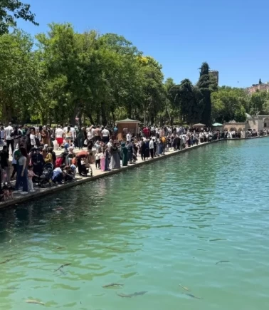 Doğal Akvaryumda iğne atsan yere düşmüyor!