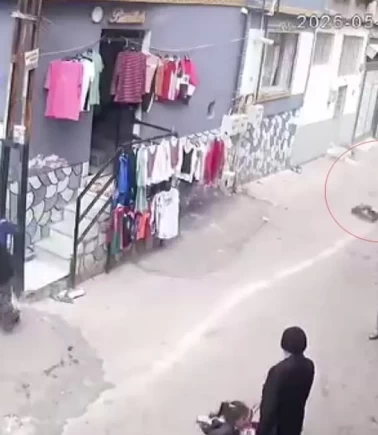 Gaziantep’te feci kaza! Minik çocuğa vurup kaçtı