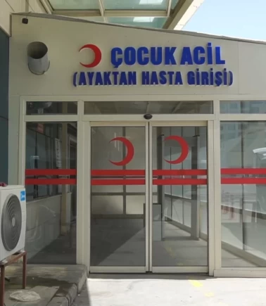 Siirt'te eşekten düşüp sürüklenen çocuk, başını taşa çarpıp öldü!
