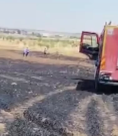 Mardin'deki yangında 40 dönüm buğday arazisi zarar gördü