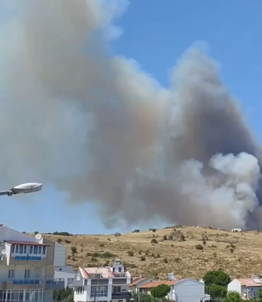 Dikili'de tarım arazisinde çıkan yangın ormana sıçradı!