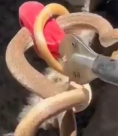 Iğdır'da itfaiye ekipleri harekete geçti!
