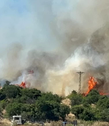 Çanakkale'de korkutan orman yangını! Rüzgarın etkisiyle yayılıyor