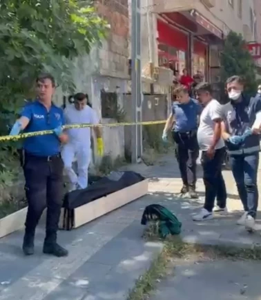 Kedisini arayan kadın çürümüş ceset buldu!