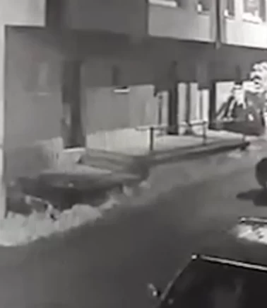 Yavrulu ayıdan canını zor kurtardı