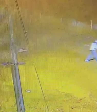 Arnavutköy'de yürüyüş yapan kadını ezip kaçan sürücü yakalandı