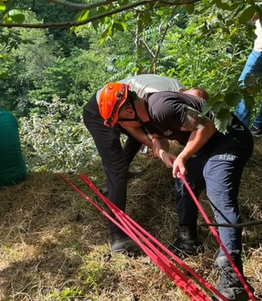 Uçuruma yuvarlanan inek için ekipler seferber oldu