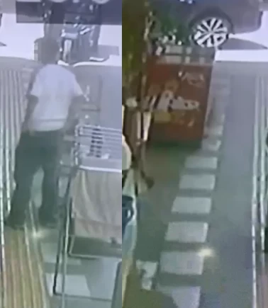 Kaldırımdaki papağanı böyle çaldılar