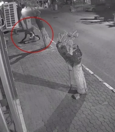 Tahliye edilen saplantılı komşu hakkında karar