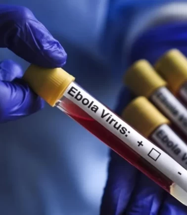 Kongo'da Ebola salgını hız kesmeden devam ediyor