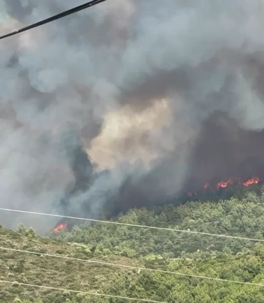 Milas'ta korkutan orman yangını alarmı