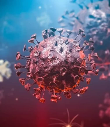 O ülkede Ebola varyant alarmı