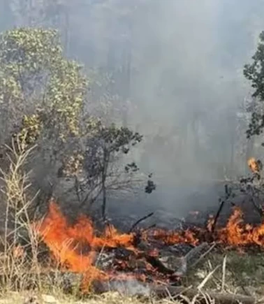Bulgaristan'da korkutan yangın