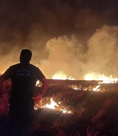 Çorum'da korkutan örtü yangını