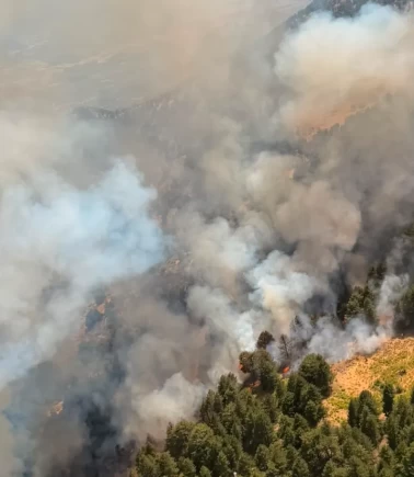 Aydın'daki orman yangınına havadan ve karadan müdahale sürüyor