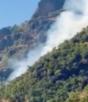 Munzur Vadisi'nde orman yangını!